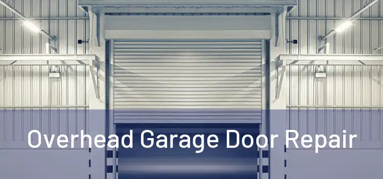  Overhead Garage Door Repair 