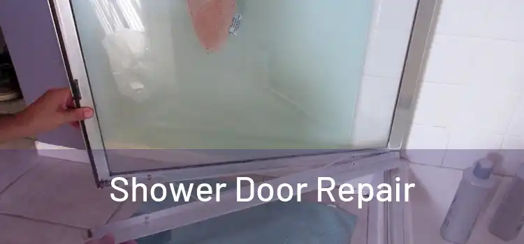  Shower Door Repair 